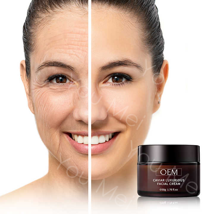 OEM Night And Day Botanical Caviar Face Cream Produkte für sofortige Faltenentfernung und Förderung von Kollagen