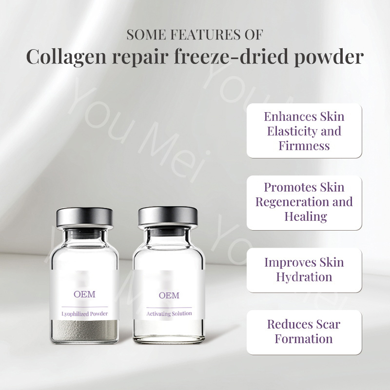 OEM ODM Custom Wholesale Collagen Hydration Repair Wrinkle-Removing Anti-Aging Serum for Whitening, Pigmentation Removal, and Skin Repair