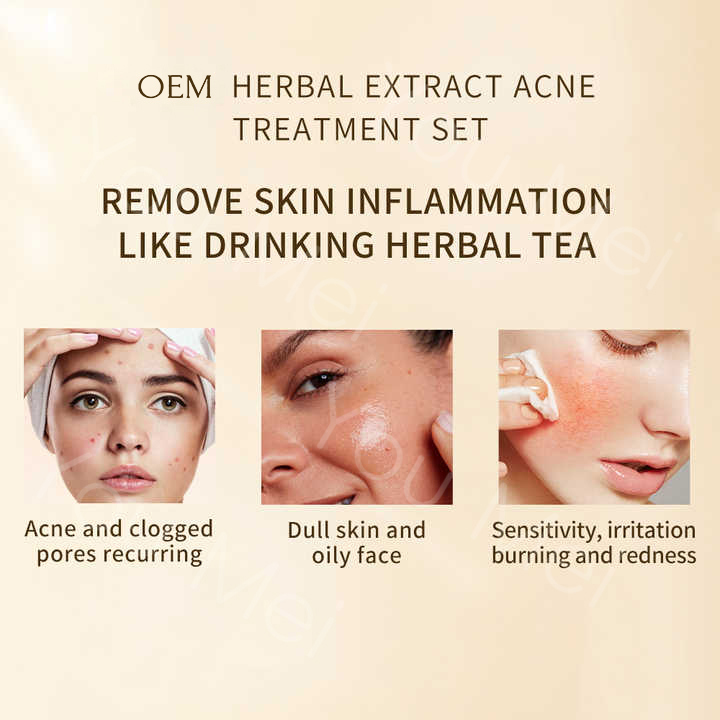 Organic Whitening Facial Skincare Set Turmeric Products Anti Wrinkle ODM