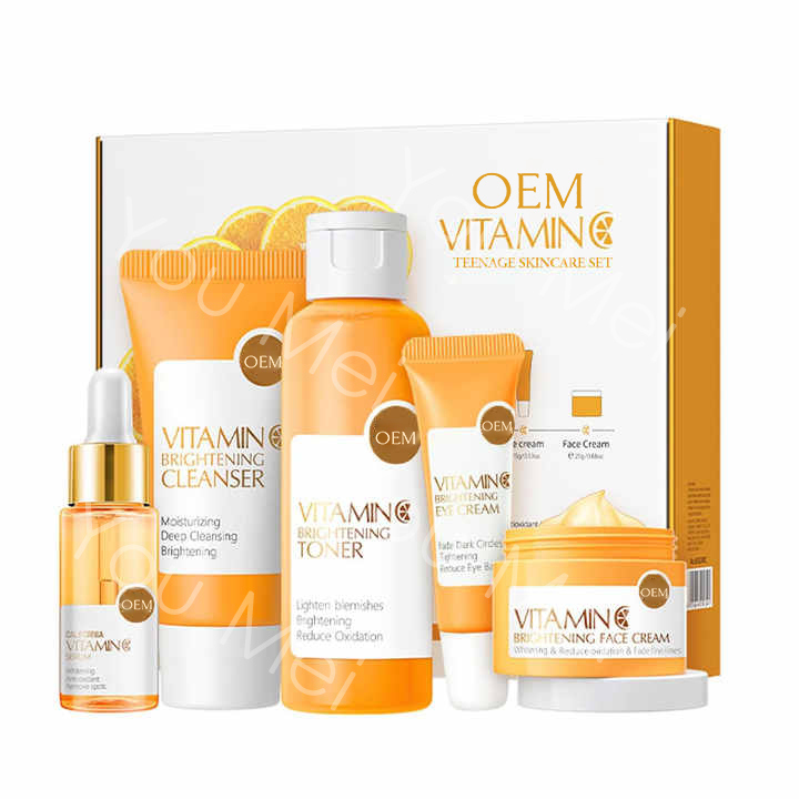 Natural Hydrating Vitamin C Skincare Products For Aging Brightening 100ML