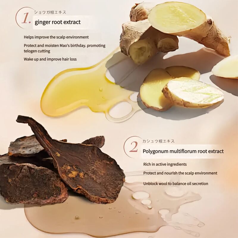 Shampoo Sulfate Free Moroccan Nut Oil Hair Care Set Moroccan Nut Oil Natural Shampoo and Conditioner