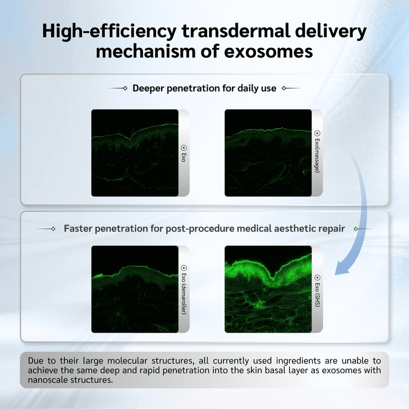 OEM ODM brand customized nano bubble freeze-dried powder set full effect freeze-dried essence liquid can whiten, tender, remove acne and tighten for use in beauty salons