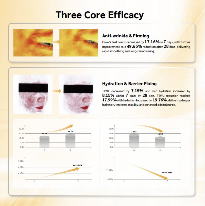 OEM ODM skin care essence serum stimulates fibroblast, reduces wrinkle depth, enhances elasticity, and restores firm, young and elastic skin texture