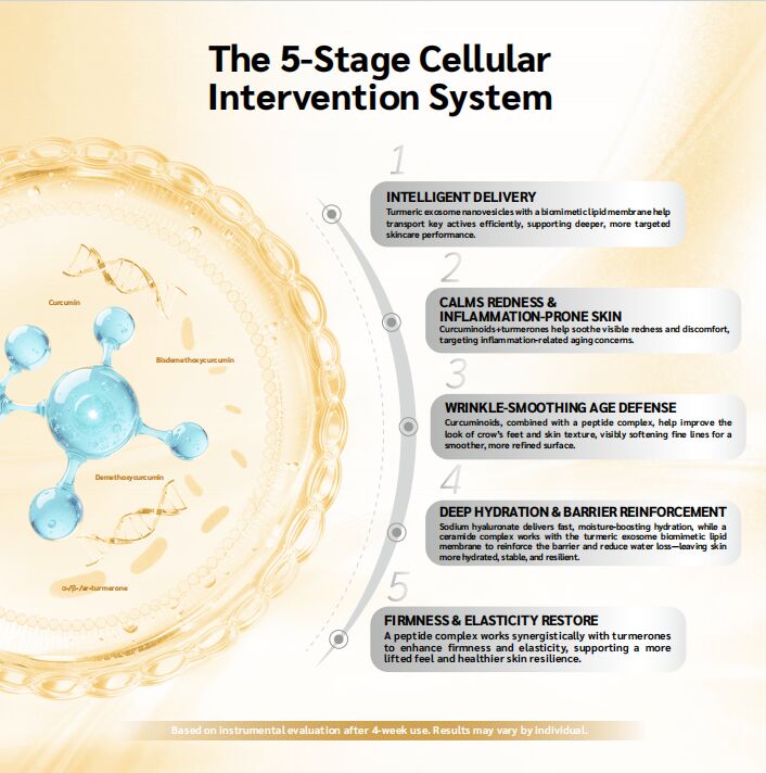 OEM ODM skin care essence serum stimulates fibroblast, reduces wrinkle depth, enhances elasticity, and restores firm, young and elastic skin texture