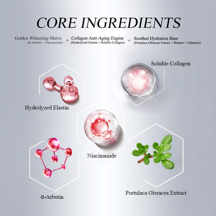 OEM ODM Reconstituted Collagen Freeze-Dried Essence - Niacinamide Brightening Anti-Wrinkle Hydrating Serum Anti-Aging Freeze-Dried Serum