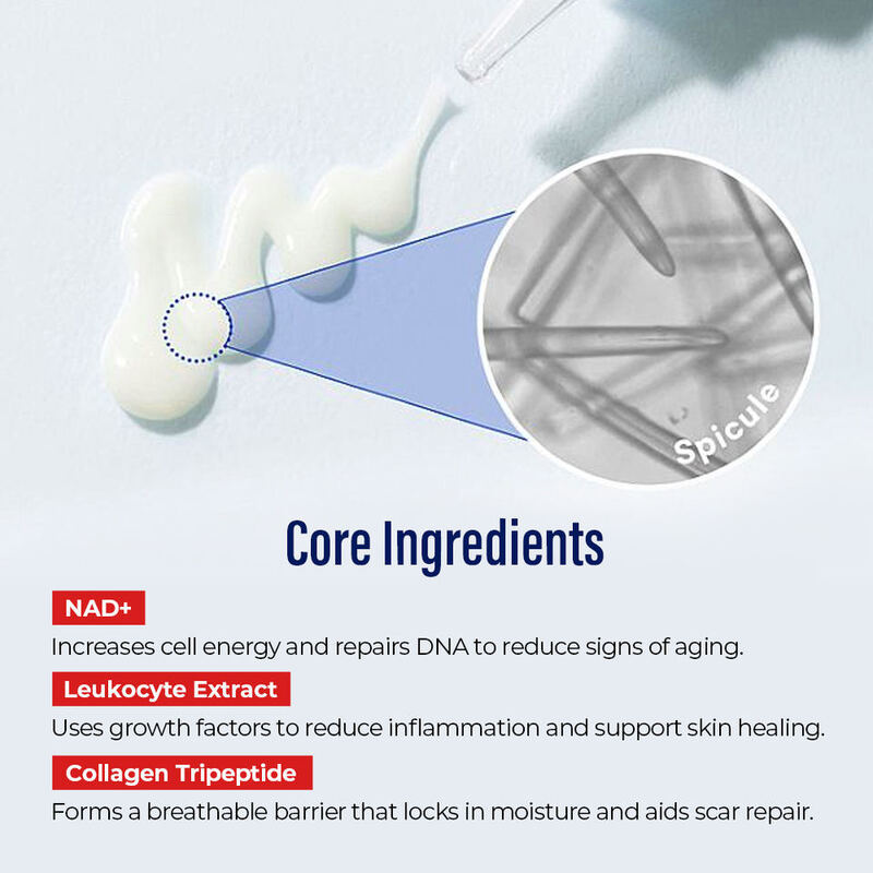 OEM ODM customized logo revitalizing cream NAD+skin revitalizing sponge, suitable for anti-aging, soothing, and repairing sensitive skin on the face