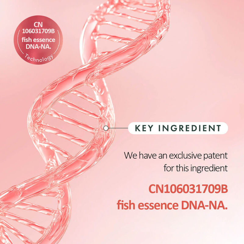 OEM ODM Brand Anti-Aging Face Cream Skin Regeneration Niacinamide Hyaluronic Acid Collagen Jelly PDRN Pink Collagen Capsule Face Cream