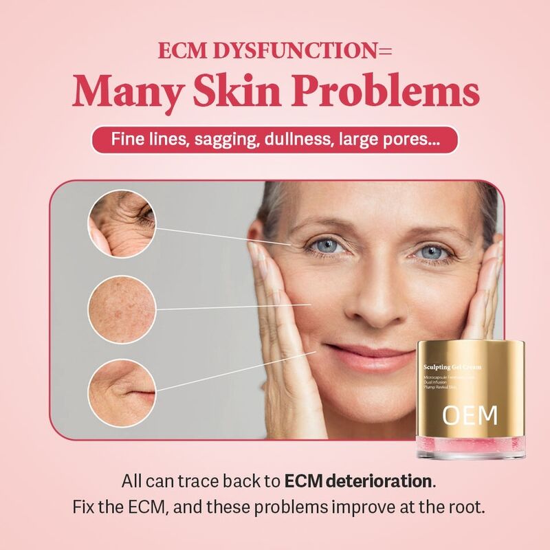 OEM ODM Korean skin care Ecm collagen elastin firming face cream and lotion whitening essence gel are used to brighten skin care products