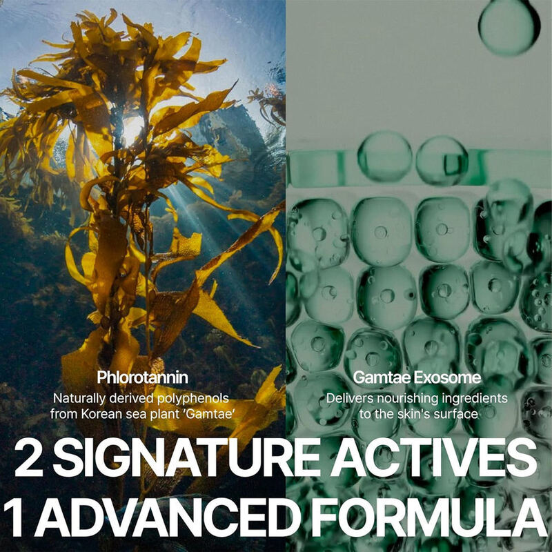 OEM ODM brand natural marine plant exocrine protein seaweed essence facial essence firming, soothing, calming and sensitive skin care product