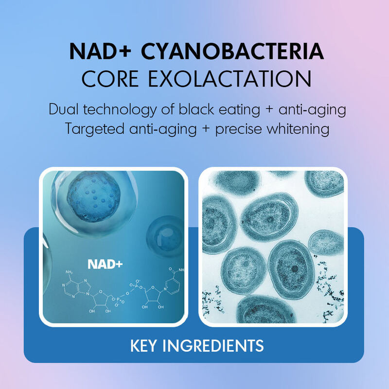 OEM ODM Brand Skincare Facial Serum NAD Blue Algae Anti-Aging DNA Repair Facial Firming Anti-Wrinkle Target Black Spots