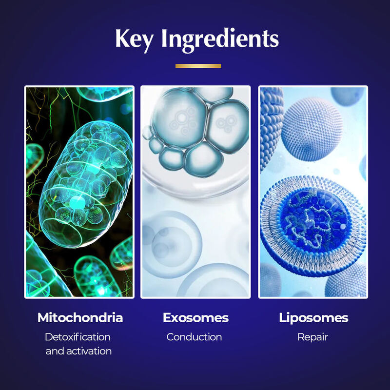 OEM ODM Korean skin care set Anti wrinkle exocrine liposome Mitochondria Anti aging Firming Collagen promoting face cream toner Facial essence for facial skin care