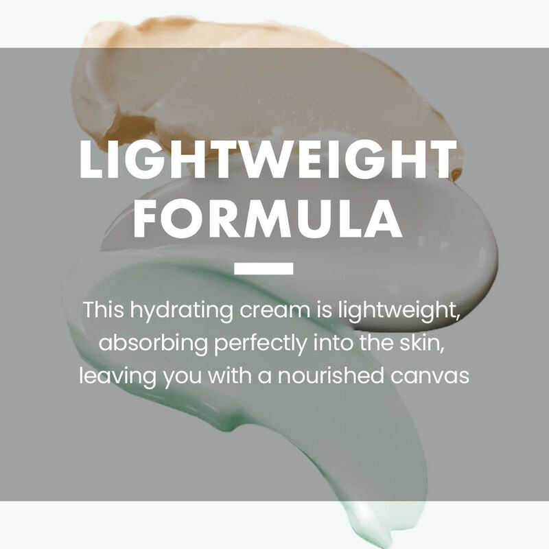 OEM ODM brand customized face cream anti-aging facial moisturizing cream lotion weight reducing natural brightening skin care products