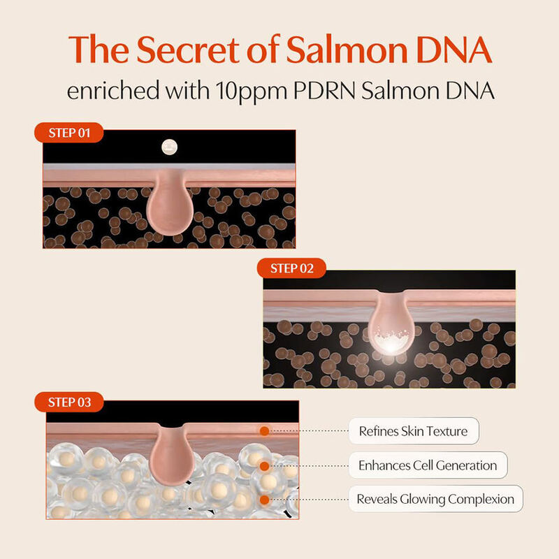 OEM ODM Pdrn Serum Korean Skin Care Brand Skin Care Anti aging Facial essence Moisturizing and Wrinkle Removing essence