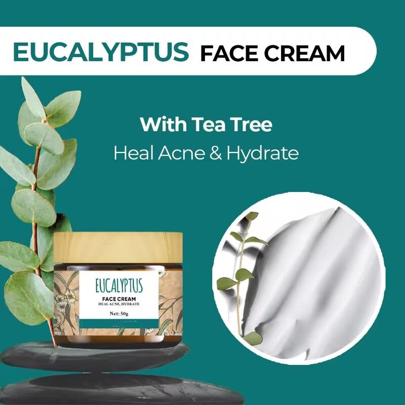 OEM ODM Natural Skin Care Set Anti Acne face cream Eucalyptus Tea Tree Skin Care Water Emulsion Wood Fruit Oil Soothing Sensitive Skin essence Whitening Anti Wrinkle Firming face cream Body Lotion