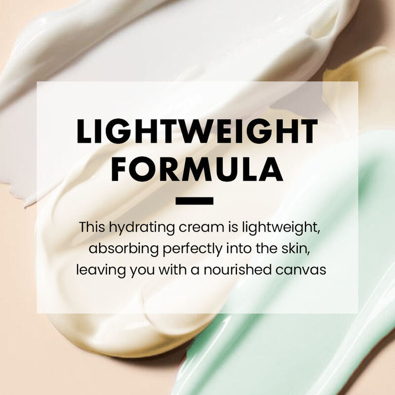 OEM ODM Korean Beauty Whitening&Moisturizing Skin Care Cream Own Brand Natural Skin Care Products Moisturizing face cream Facial lotion