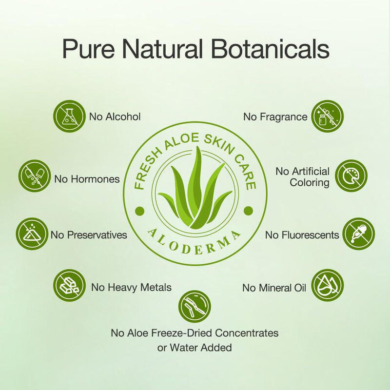 OEM ODM Korean Organic Facial Skin Care essence Facial Soothing Anti aging Aloe Vera Skin Care Product Facial Anti wrinkle Serum