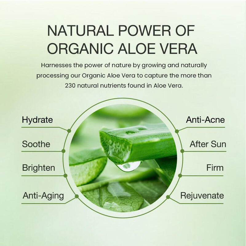 OEM ODM Korean Organic Facial Skin Care essence Facial Soothing Anti aging Aloe Vera Skin Care Product Facial Anti wrinkle Serum
