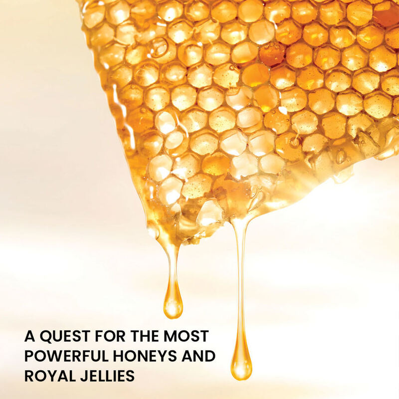 OEM ODM Brand Bee Venom Honey 2-in-1 Skin Care essence Brightening Face Anti aging Wrinkles Day and Night Face essence Serum