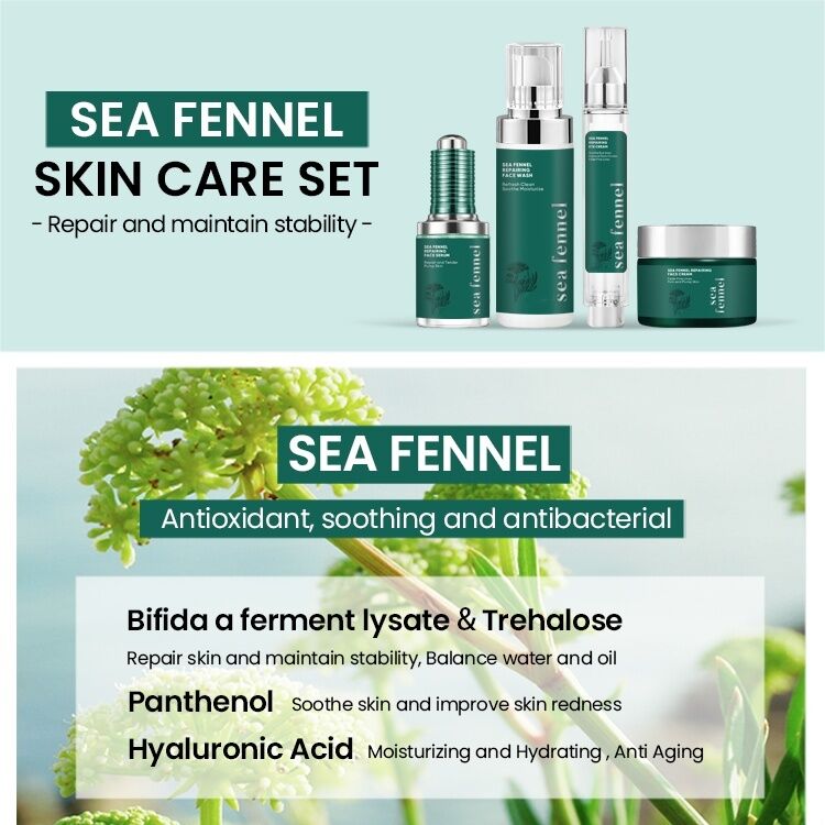 OEM ODM customized organic skin care package Pure foam facial cleanser mild fennel moisturizing face cream Private brand skin care serum essence